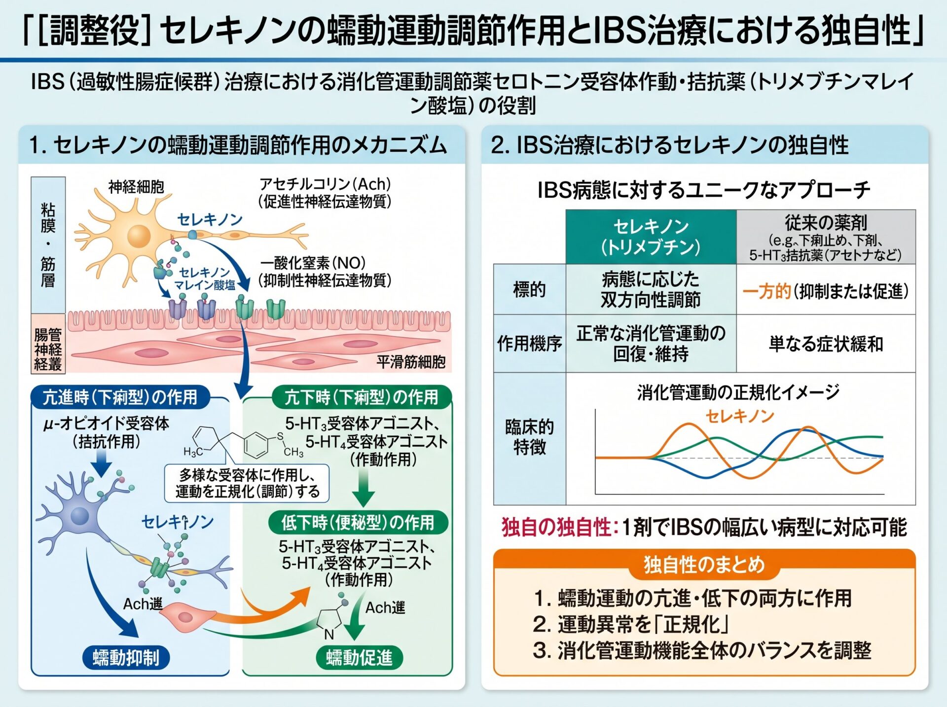 [調整役] セレキノンの蠕動運動調節作用とIBS治療における独自性