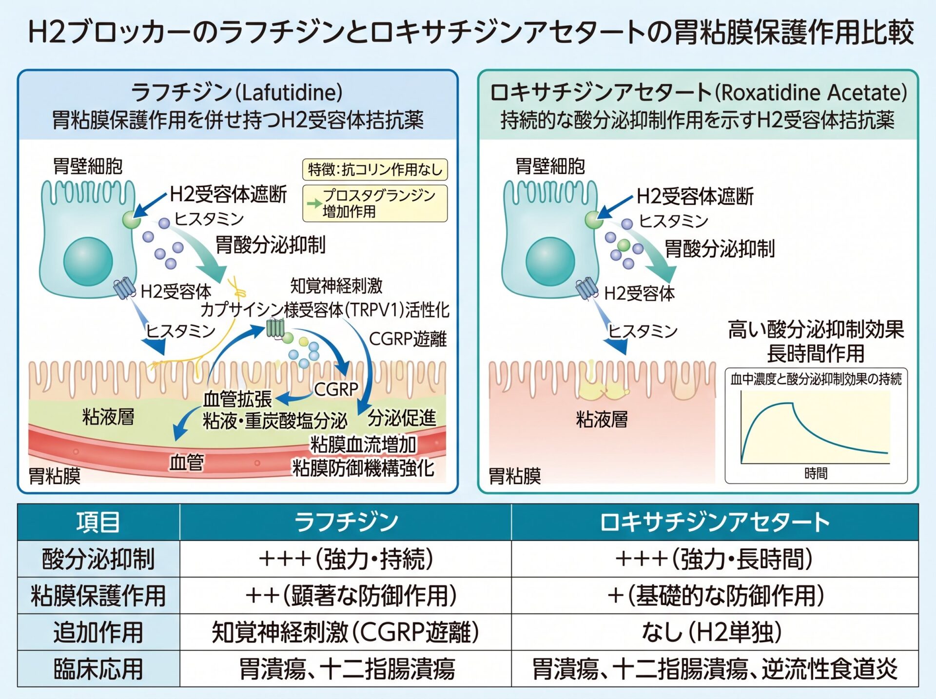 h2ブロッカーのラフチジンとロキサチジンアセタートの胃粘膜保護作用