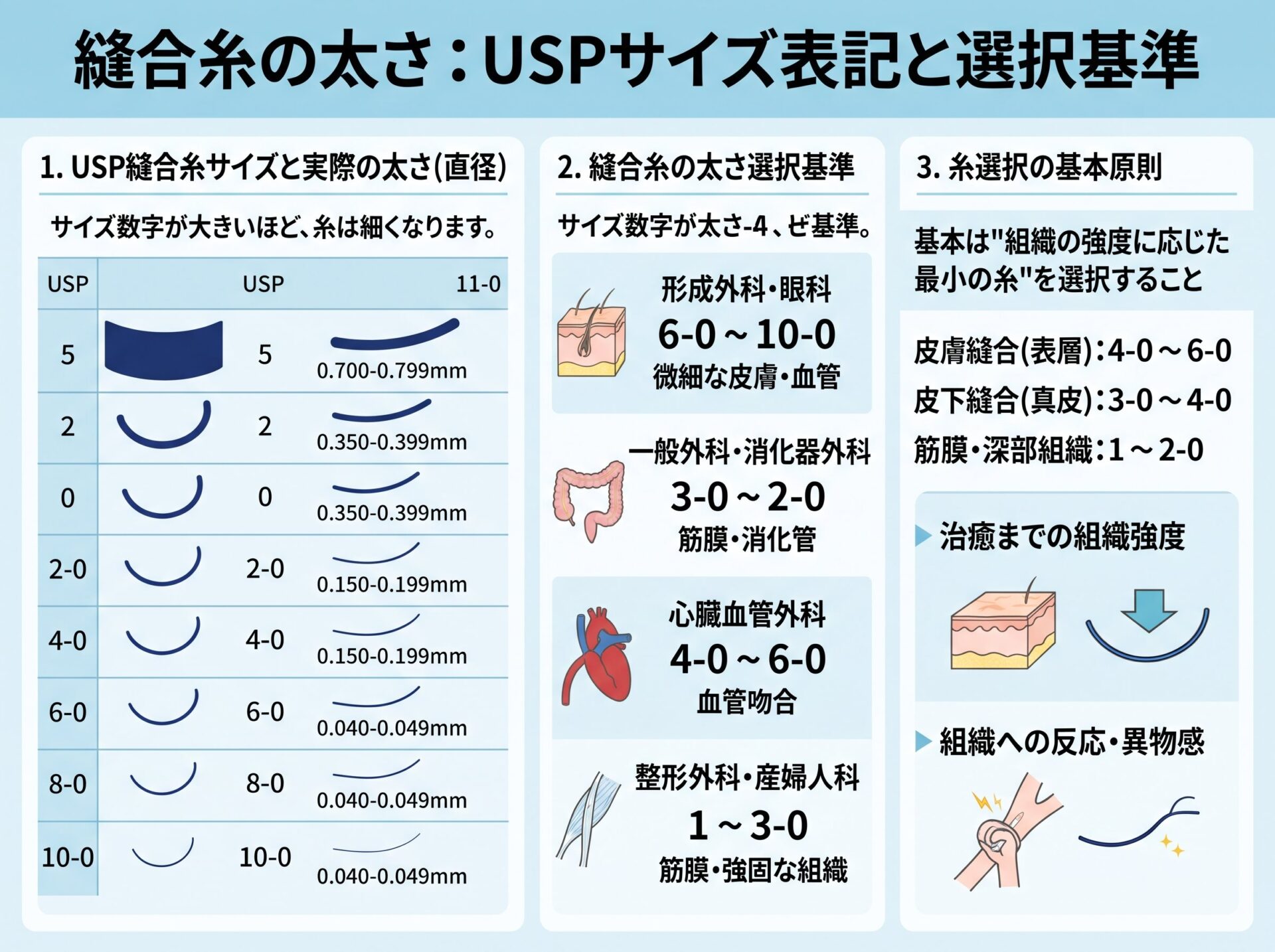 縫合糸の太さ：USPサイズ表記と選択基準