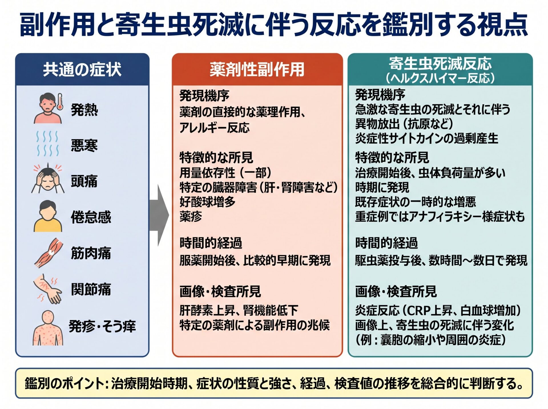 副作用と寄生虫死滅に伴う反応を鑑別する視点