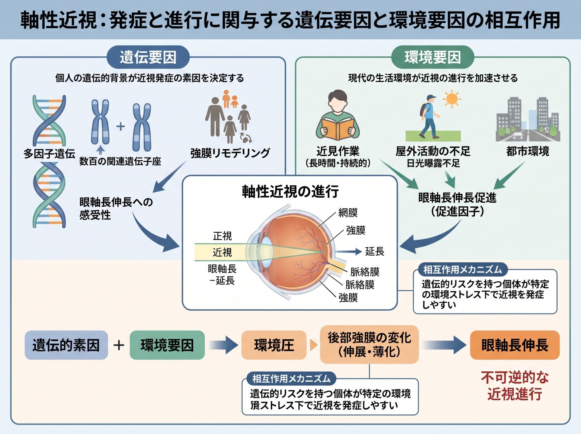 軸性近視 原因に関与する遺伝と環境要因