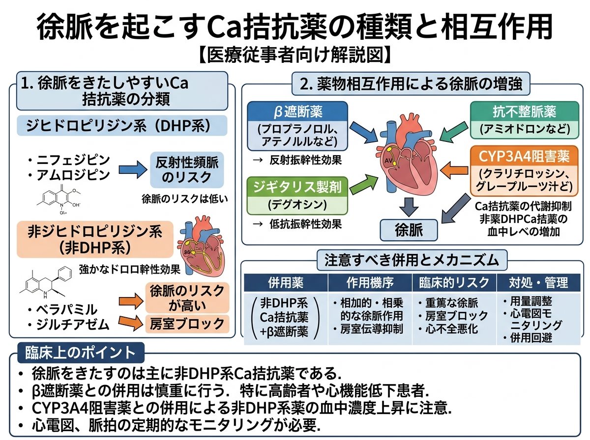 徐脈を起こすCa拮抗薬の種類と相互作用