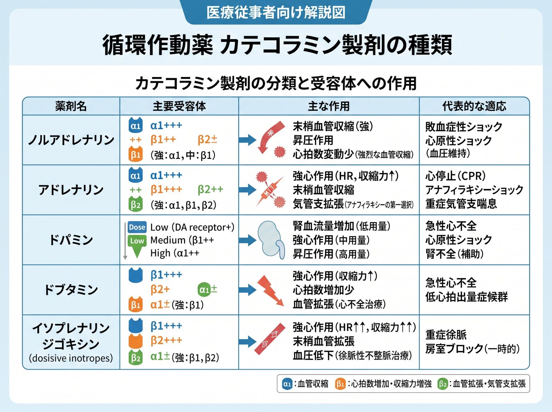 循環作動薬カテコラミン製剤の種類