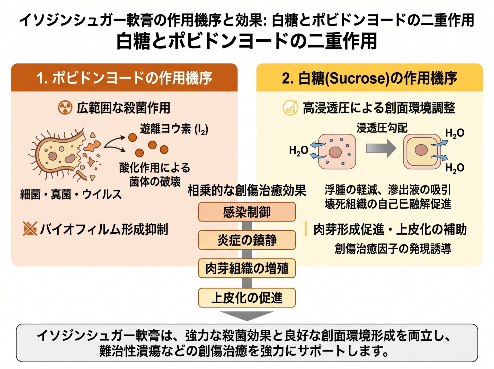 イソジンシュガー軟膏の作用機序と効果：白糖とポビドンヨードの二重作用