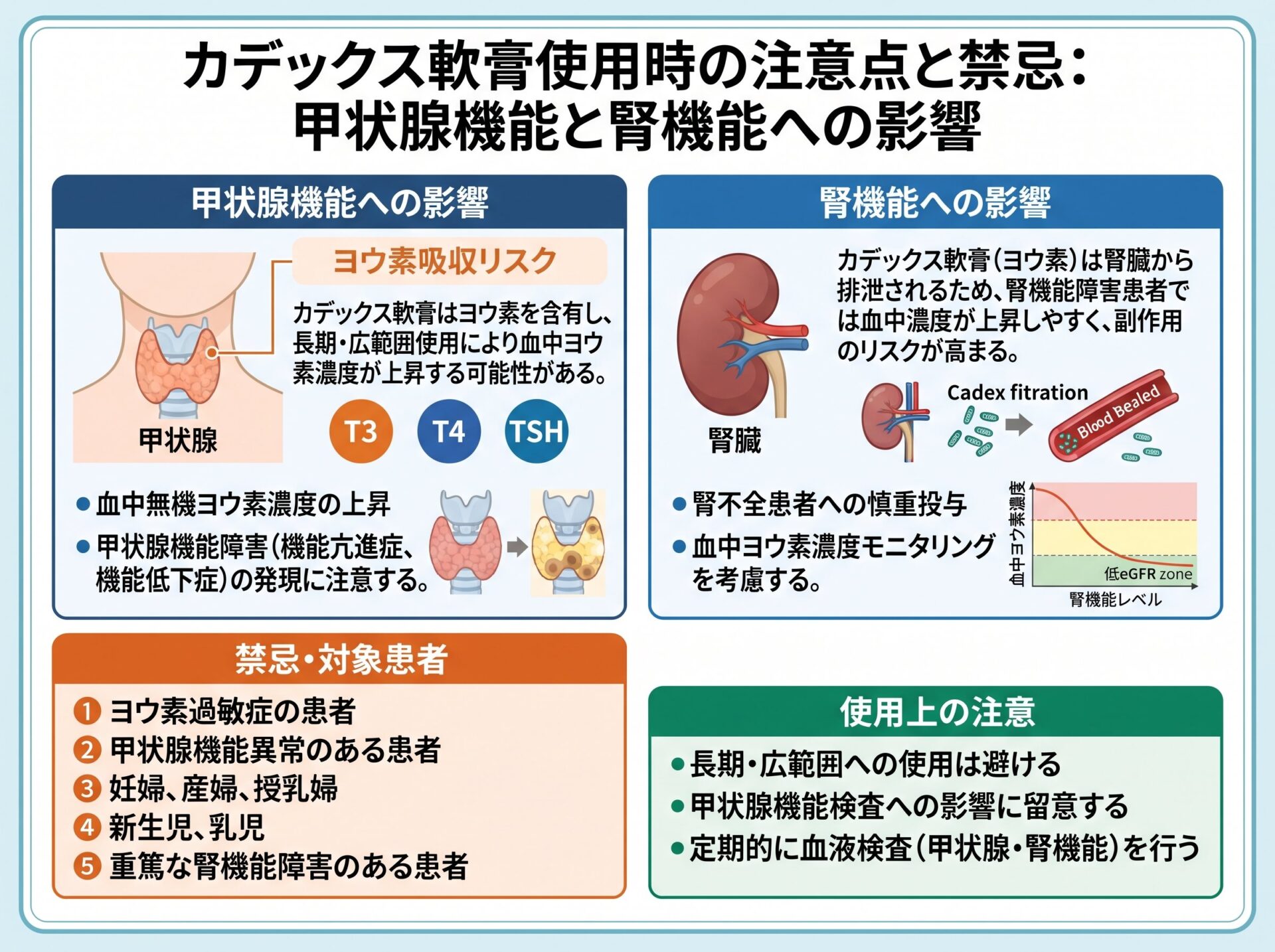 カデックス軟膏使用時の注意点と禁忌：甲状腺機能と腎機能への影響