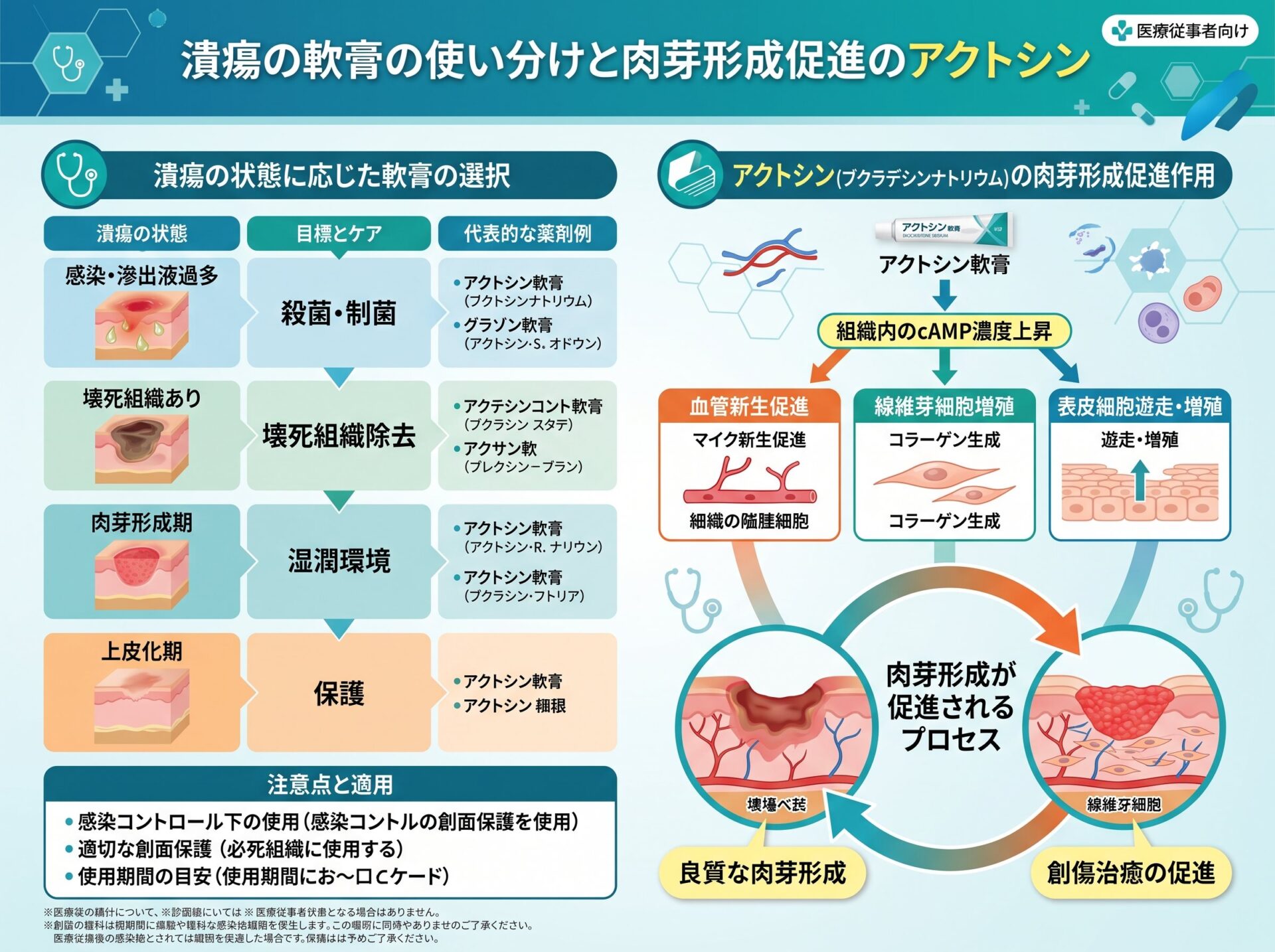 潰瘍の軟膏の使い分けと肉芽形成促進のアクトシン