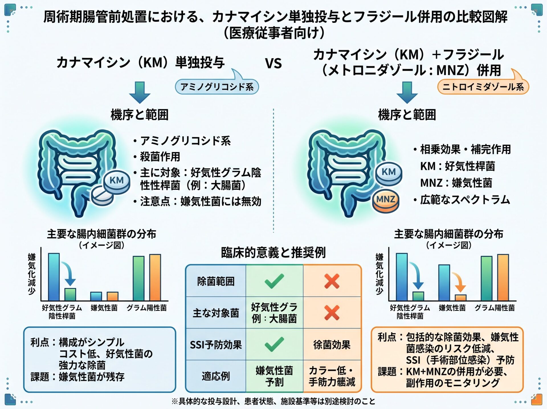 カナマイシン単独投与とフラジール併用の違い
