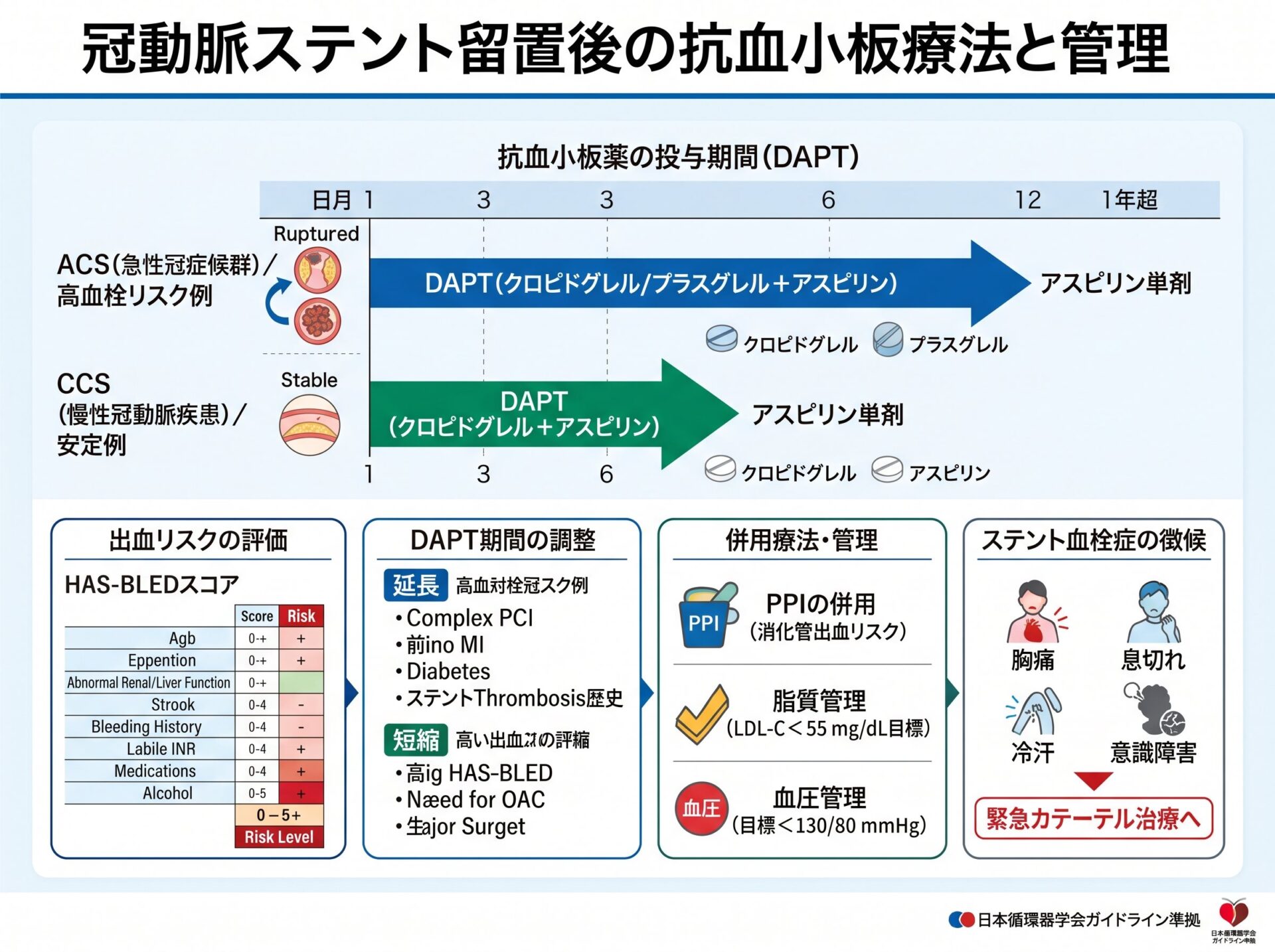 冠動脈ステントの留置後の抗血小板療法と管理
