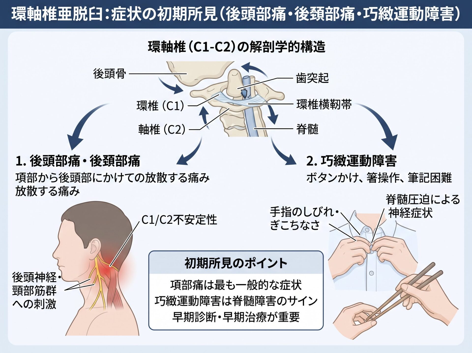 環軸椎亜脱臼 症状の初期所見(後頭部痛・後頚部痛・巧緻運動障害)