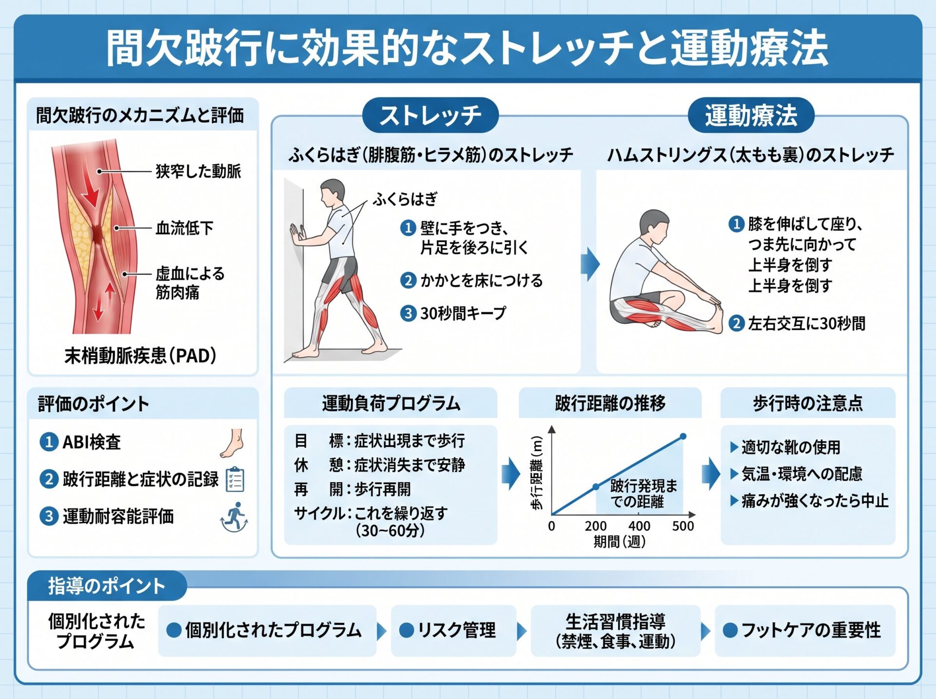 間欠跛行に効果的なストレッチと運動療法