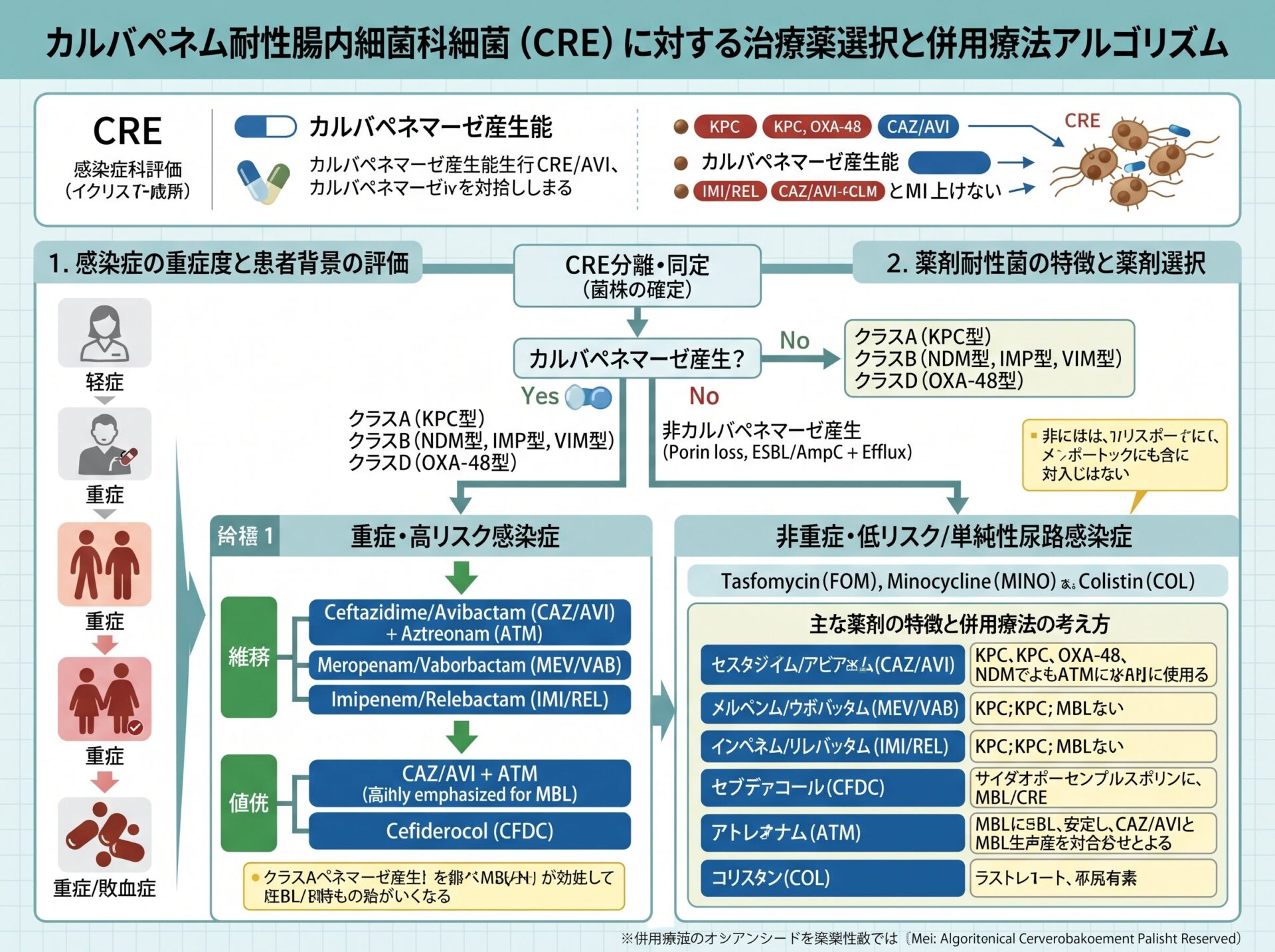 カルバペネム耐性腸内細菌科細菌に対する治療薬選択と併用療法