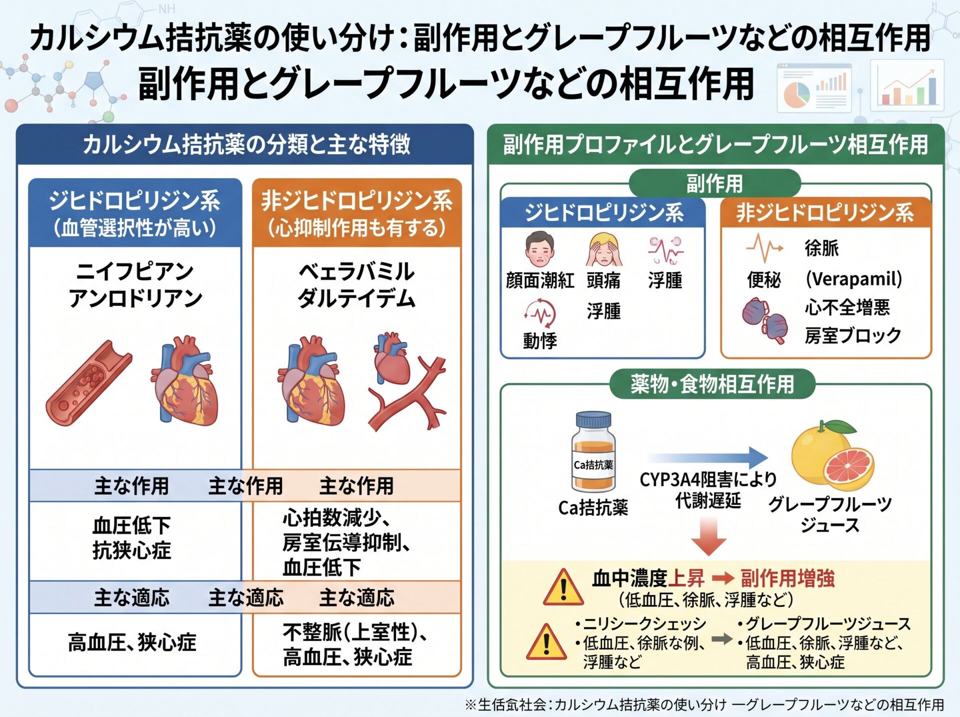 カルシウム拮抗薬の使い分け：副作用とグレープフルーツなどの相互作用