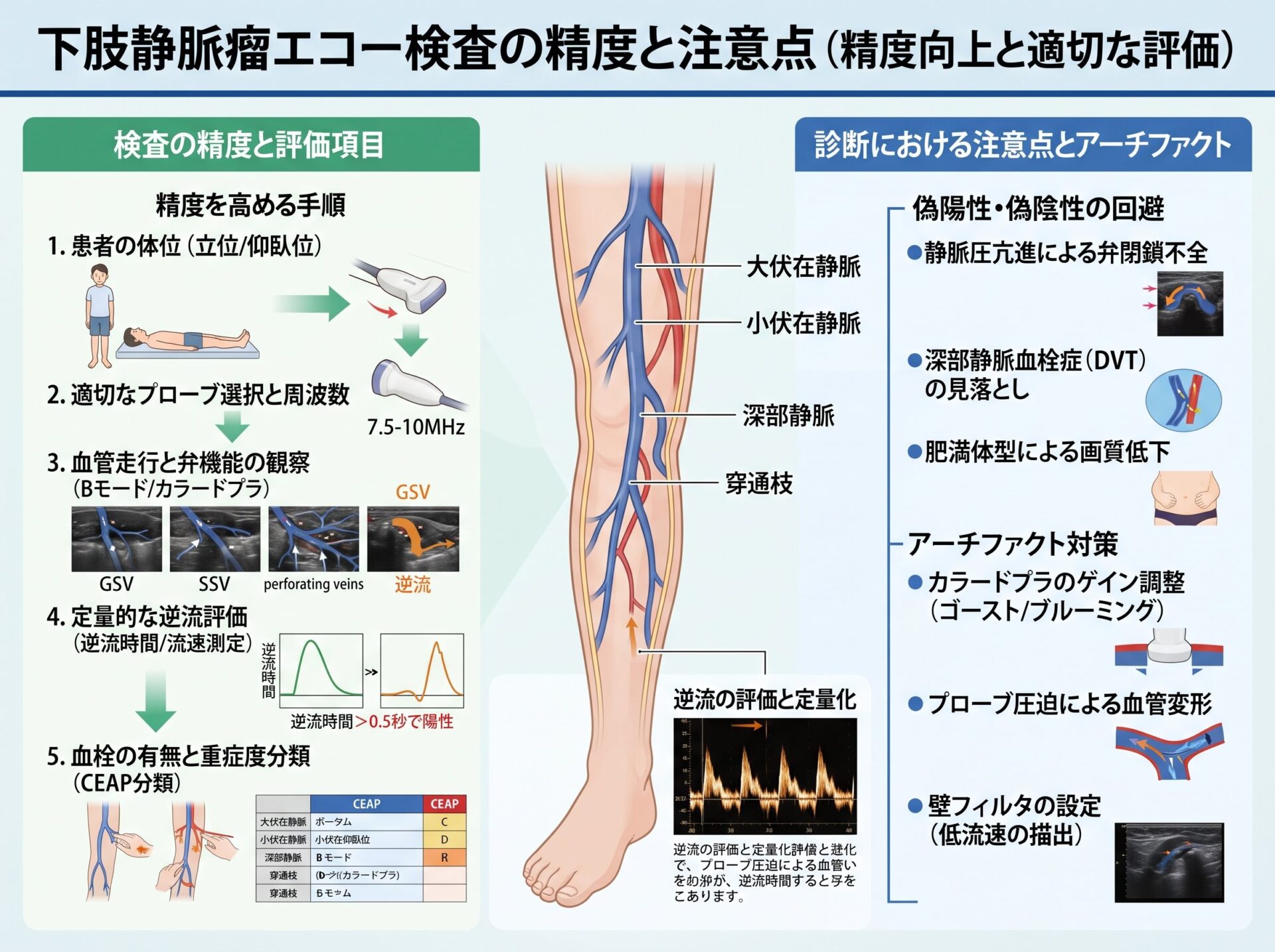 下肢静脈瘤エコー検査の精度と注意点