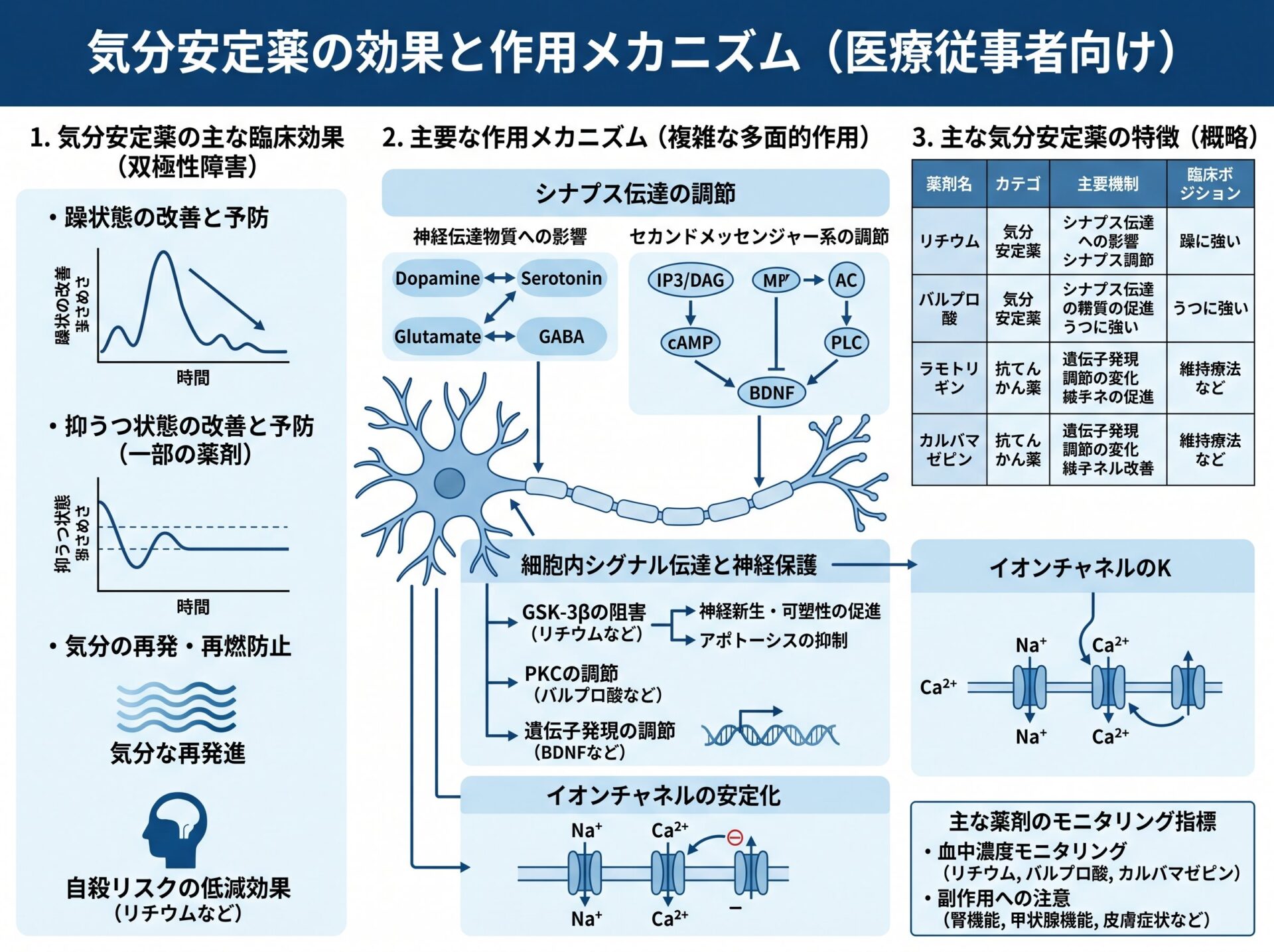 気分安定薬の効果と作用メカニズム