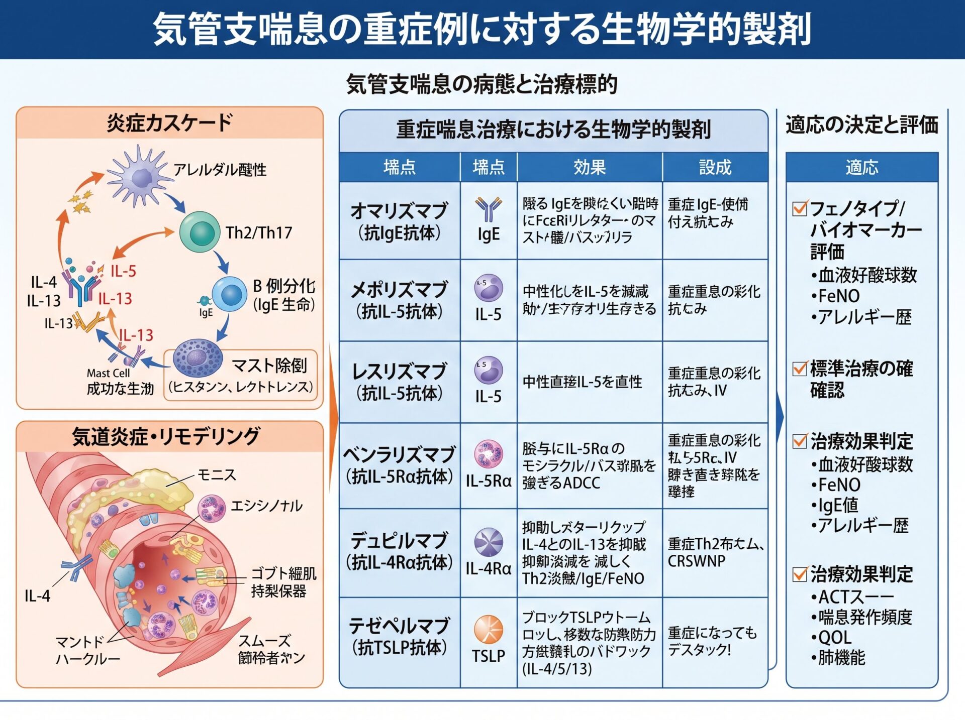 気管支喘息の重症例に対する生物学的製剤