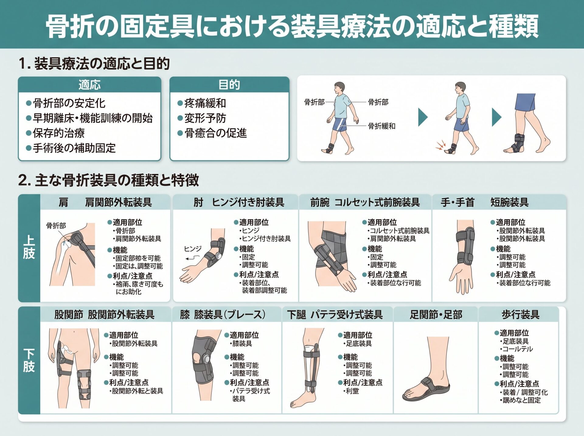 骨折の固定具における装具療法の適応と種類