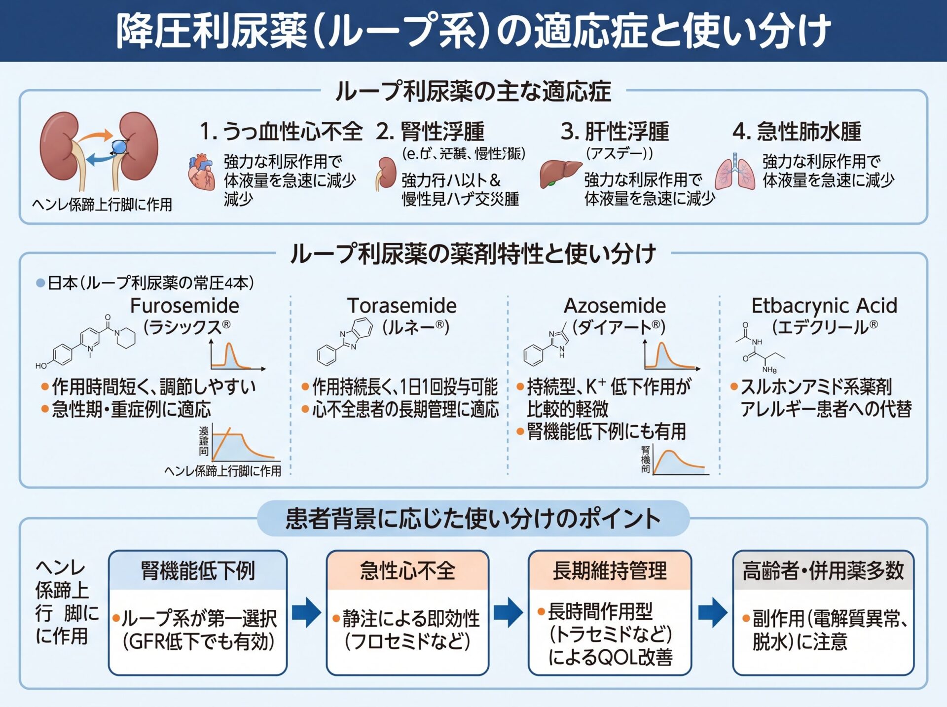 降圧利尿薬ループ系の適応症と使い分け