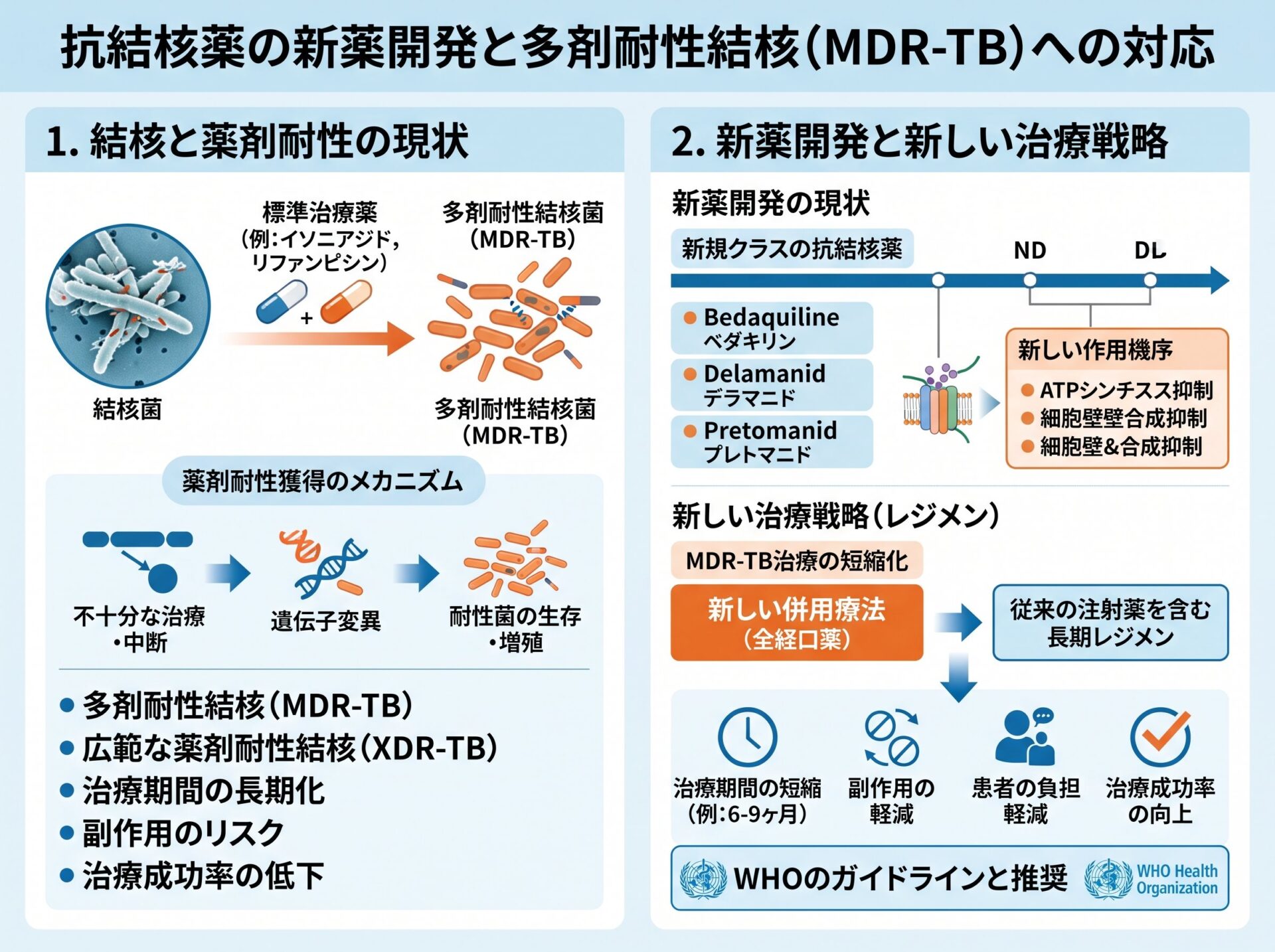 抗結核薬の新薬開発と多剤耐性結核への対応