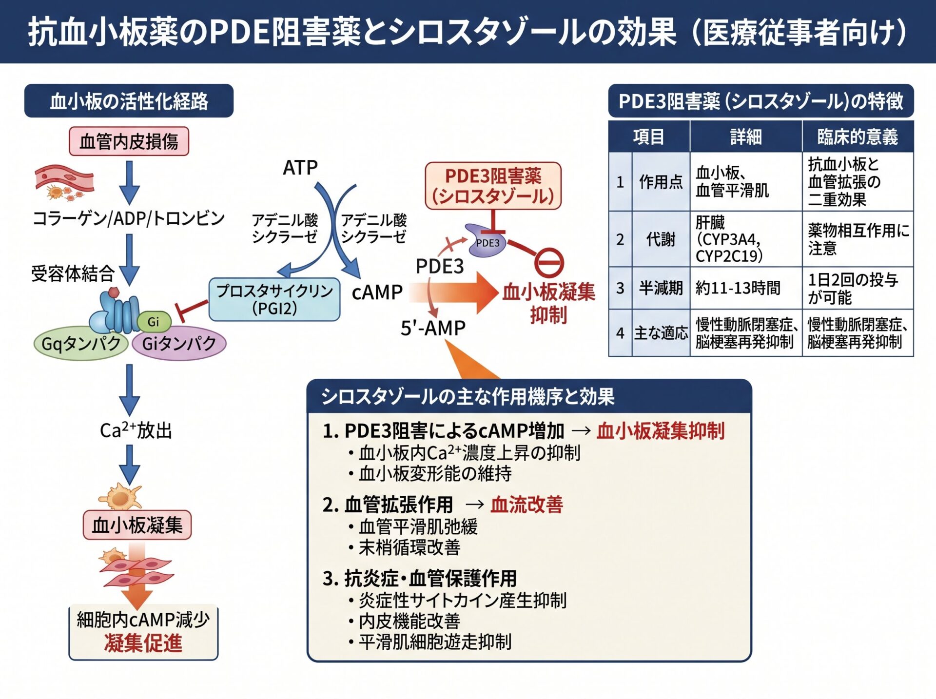 抗血小板薬のPDE阻害薬とシロスタゾールの効果