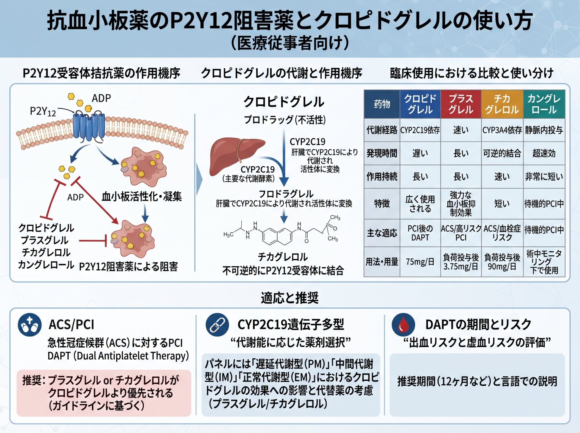 抗血小板薬のP2Y12阻害薬とクロピドグレルの使い方
