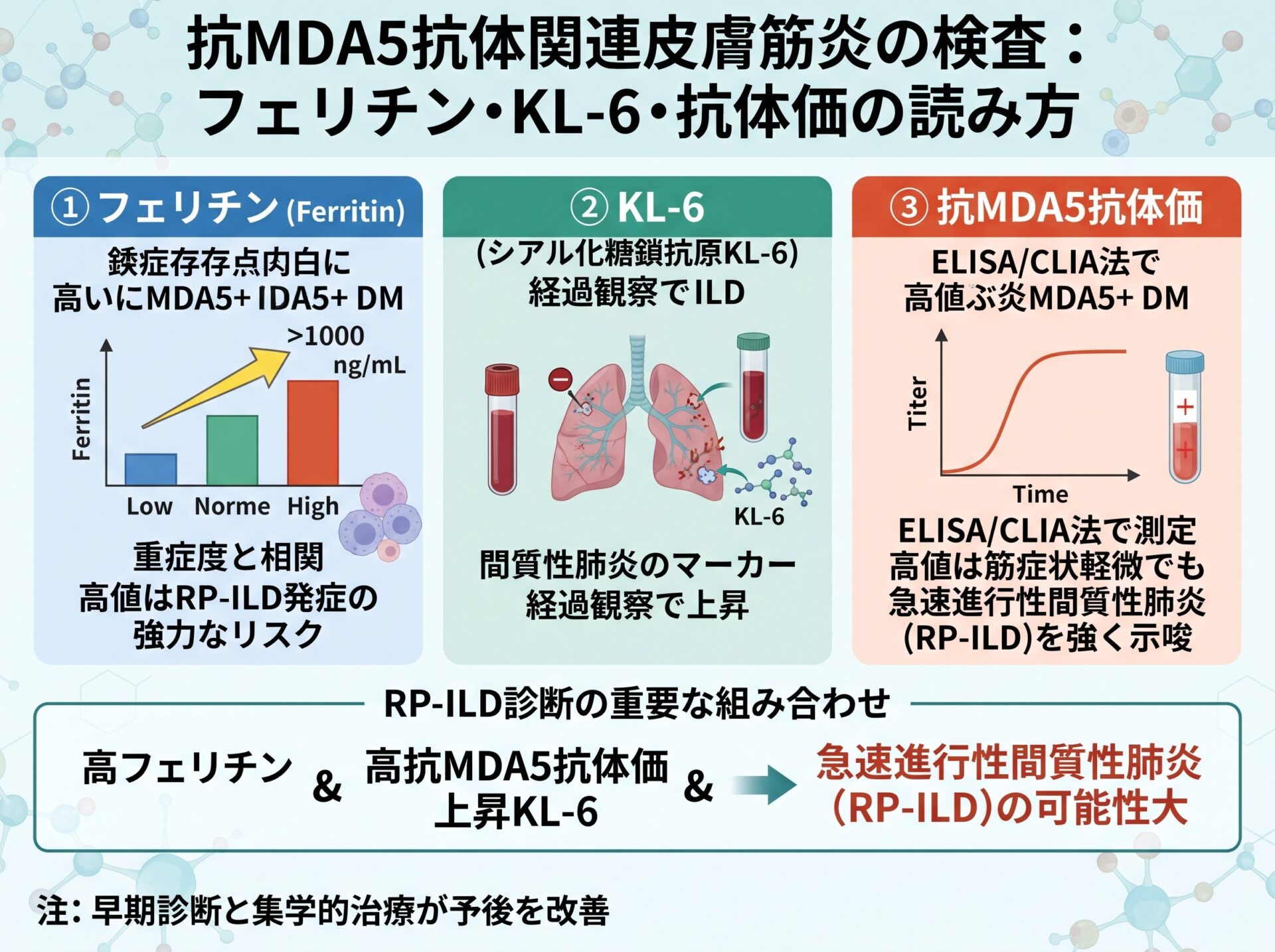 抗MDA5抗体関連皮膚筋炎の検査:フェリチン・KL-6・抗体価の読み方