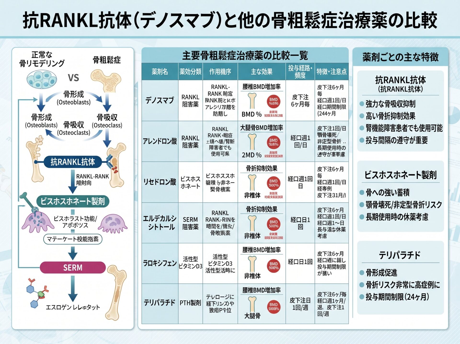 抗RANKL抗体と他の骨粗鬆症治療薬の比較