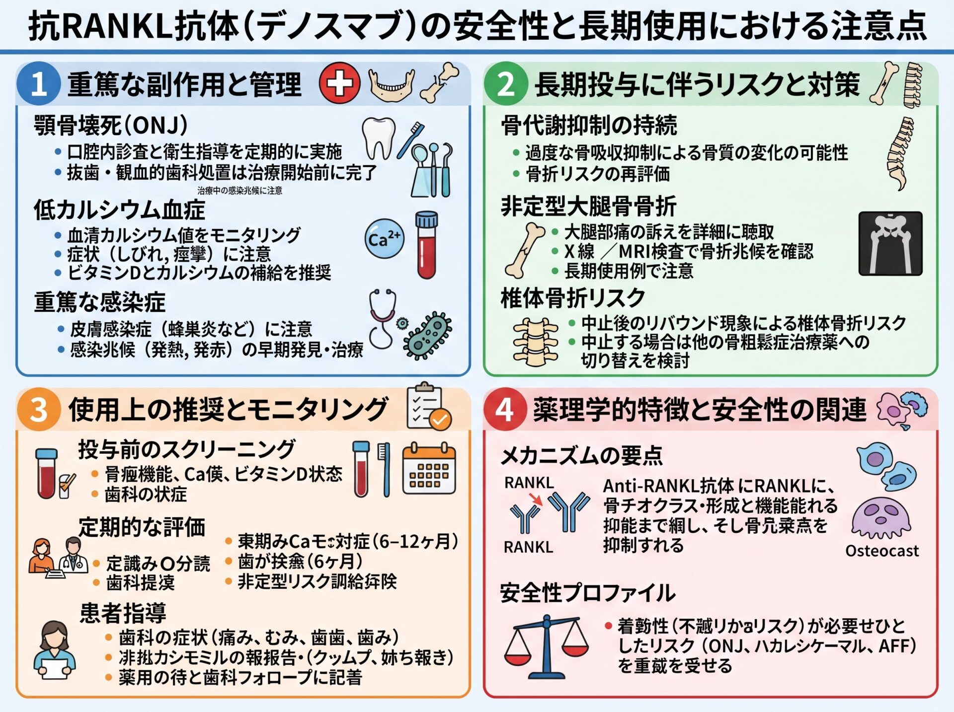 抗RANKL抗体の安全性と長期使用における注意点