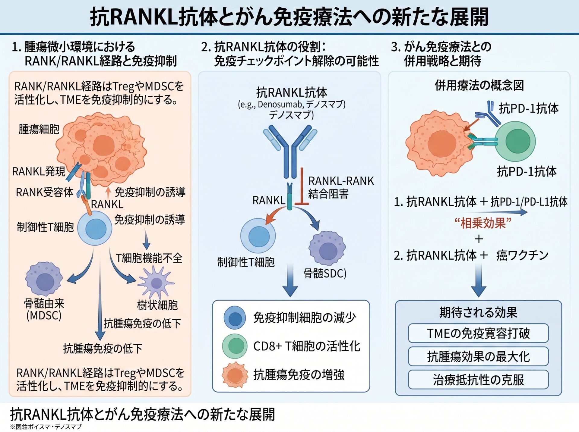 抗RANKL抗体とがん免疫療法への新たな展開