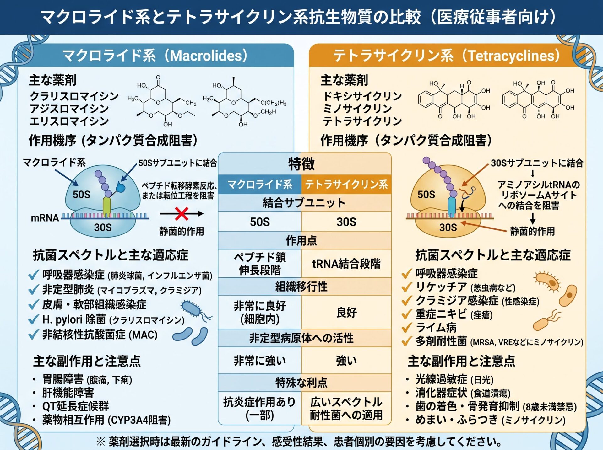 抗生物質のマクロライド系とテトラサイクリン系の違い