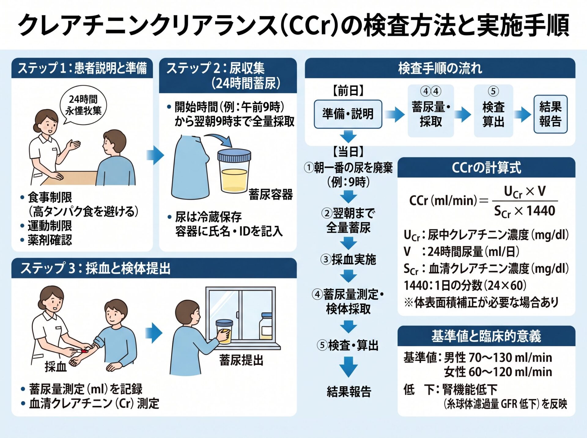 クレアチニンクリアランス CCrの検査方法と実施手順