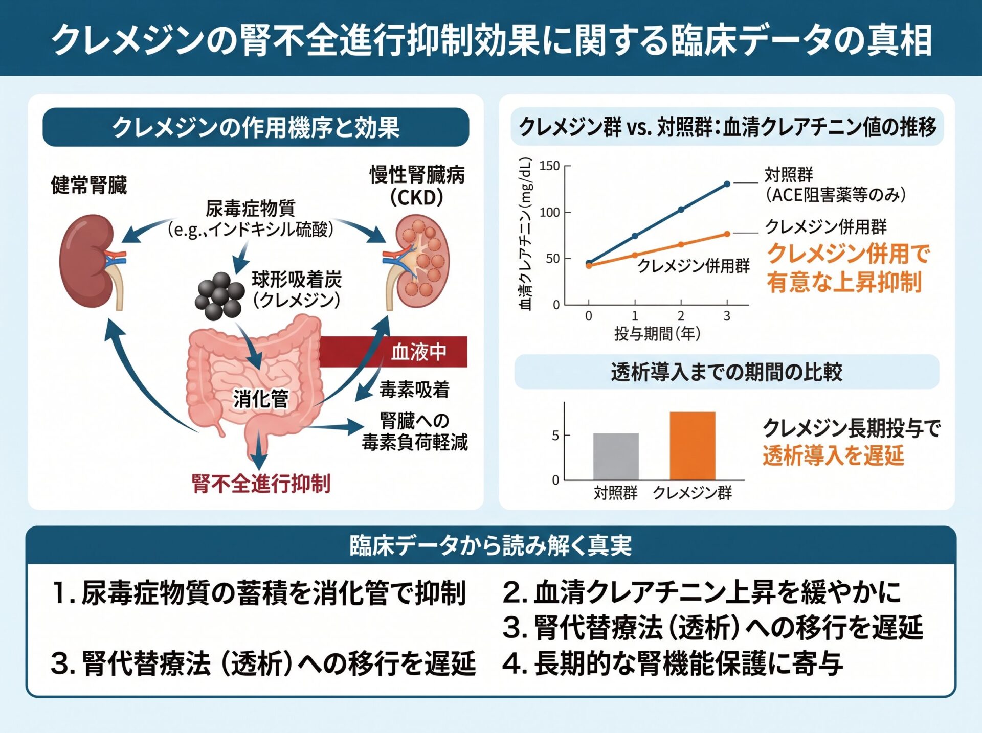クレメジンの腎不全進行抑制効果に関する臨床データの真相