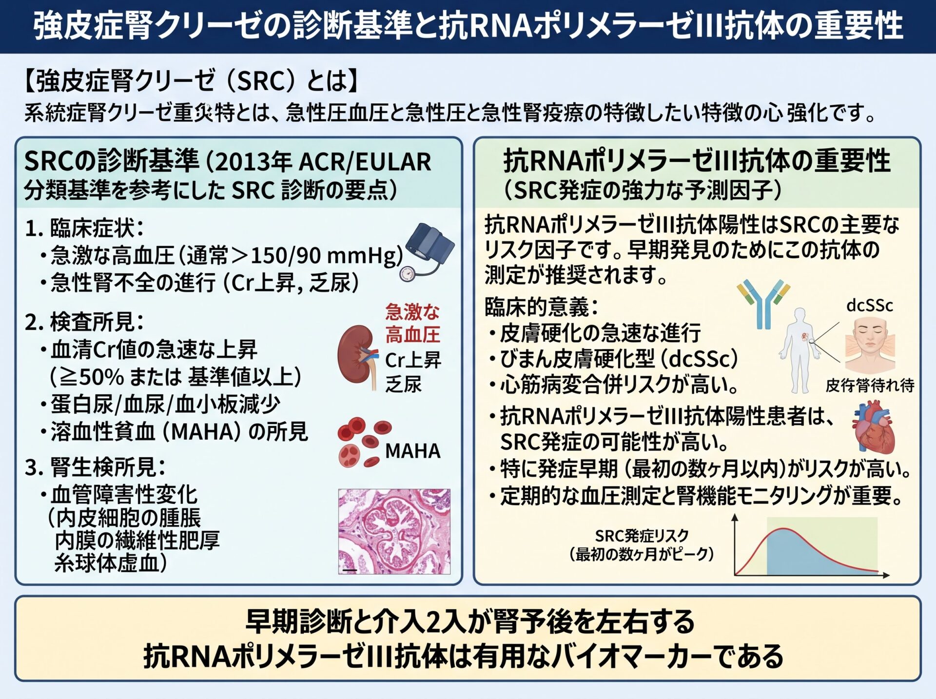 強皮症腎クリーゼの診断基準と抗RNAポリメラーゼIII抗体の重要性