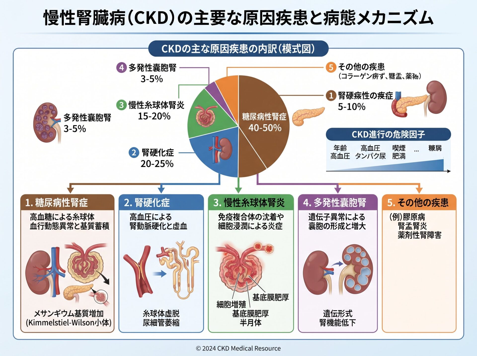 慢性腎臓病の主要な原因疾患