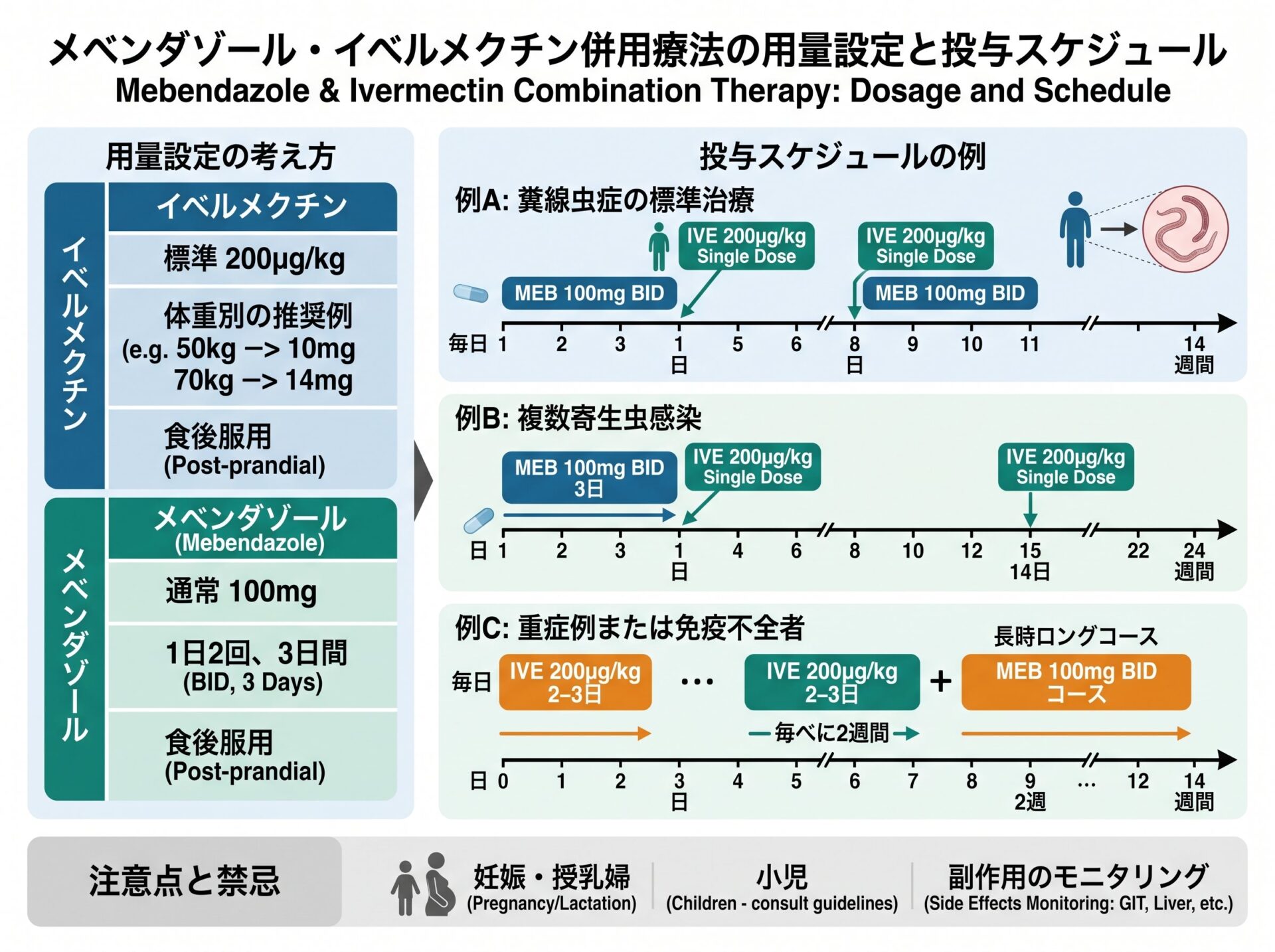 メベンダゾール イベルメクチン併用の用量設定と投与スケジュール