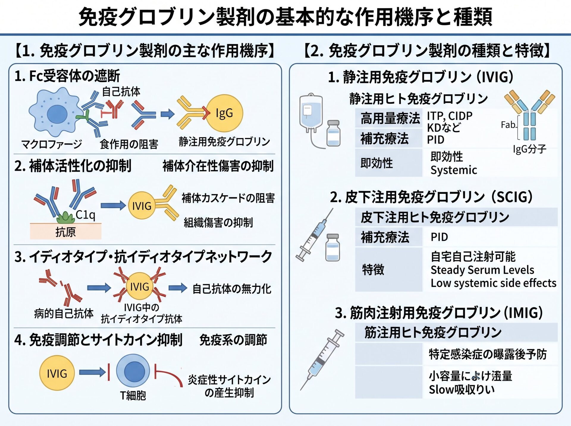 免疫グロブリン製剤の基本的な作用機序と種類