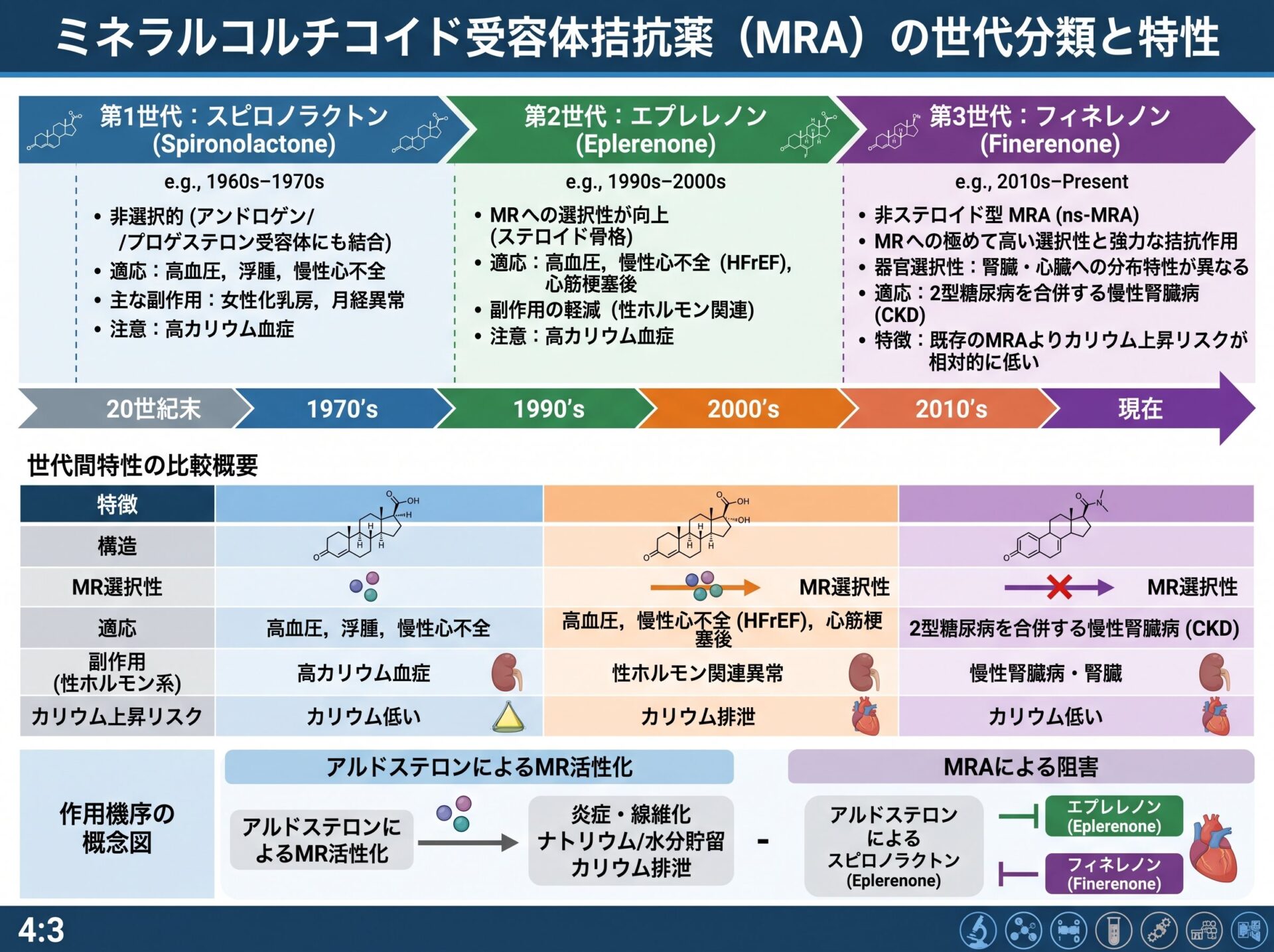 ミネラルコルチコイド受容体拮抗薬の世代分類と特性
