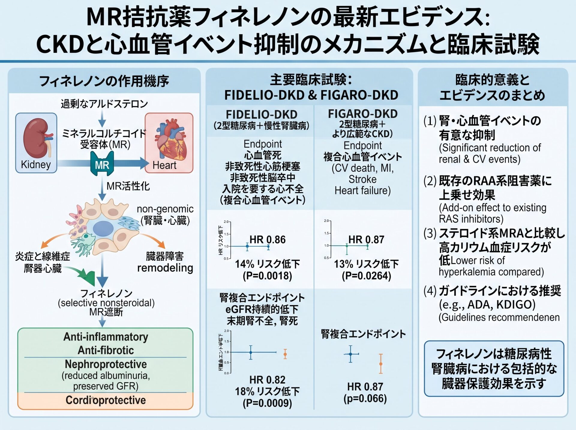 MR拮抗薬フィネレノンの最新エビデンス