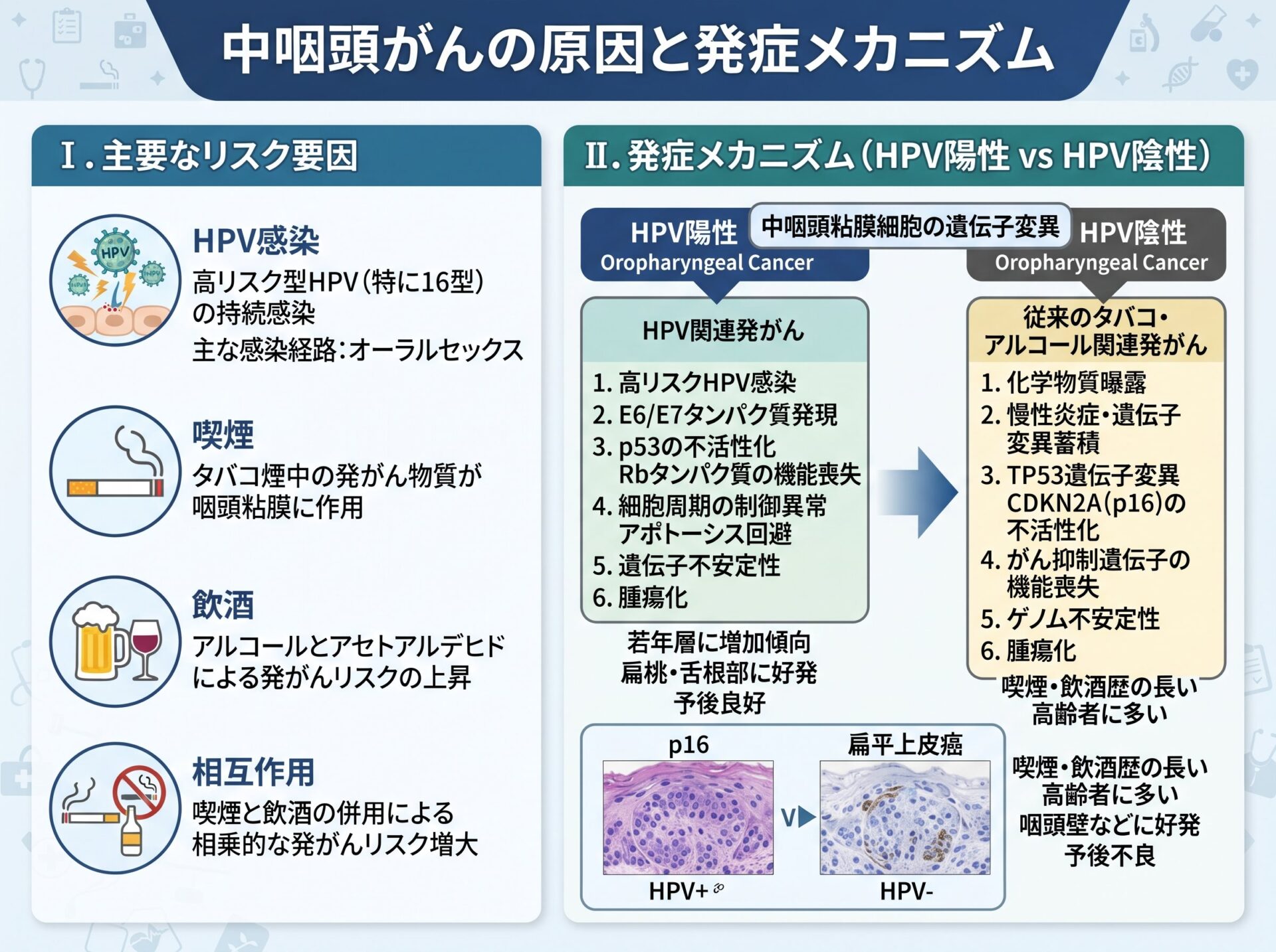 中咽頭がんの原因と発症メカニズム
