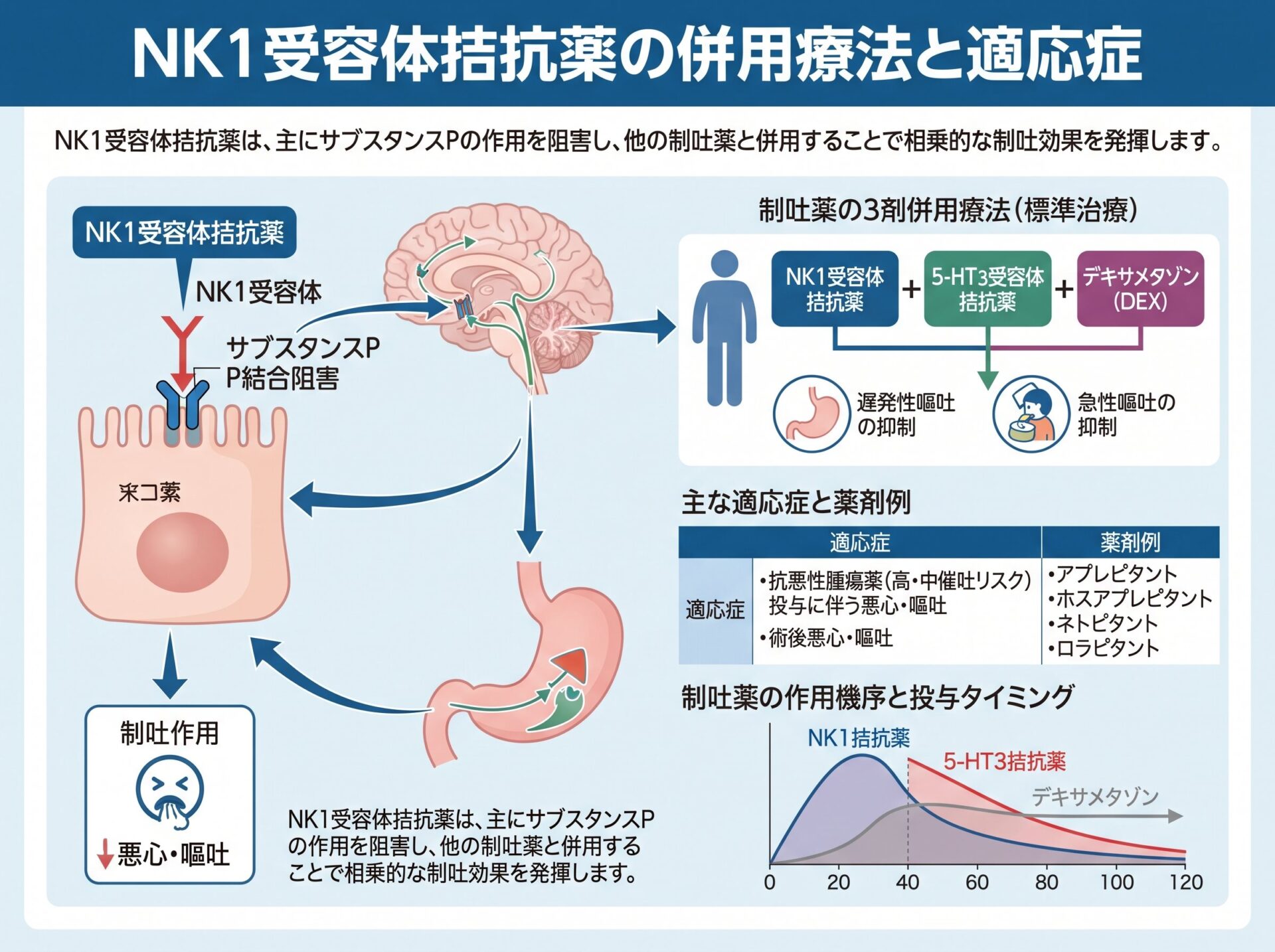 NK1受容体拮抗薬の併用療法と適応症