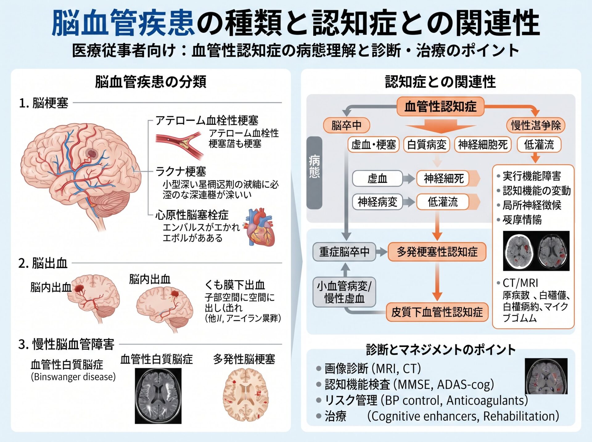 脳血管疾患の種類と認知症との関連性