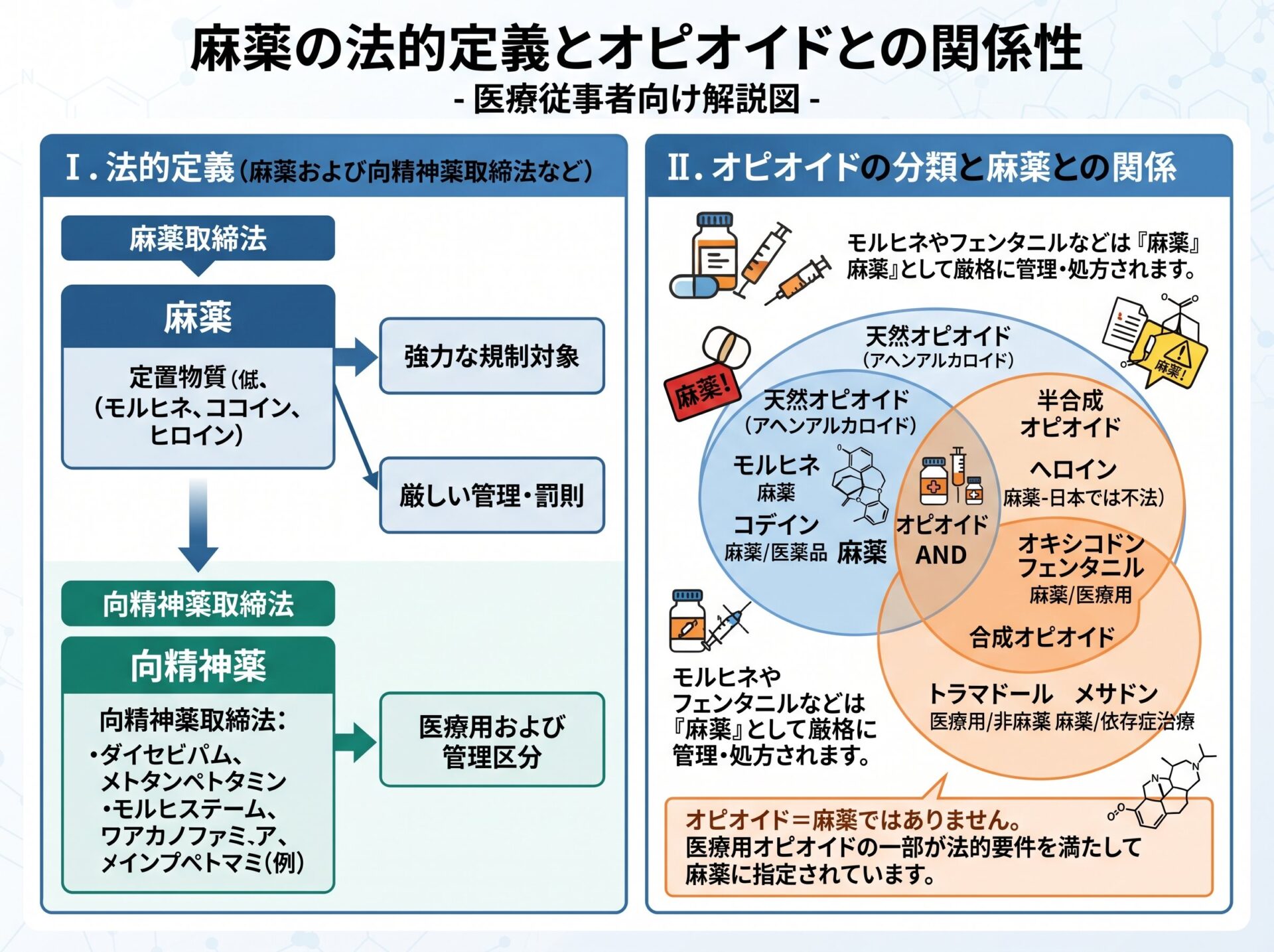 麻薬の法的定義とオピオイドとの関係性