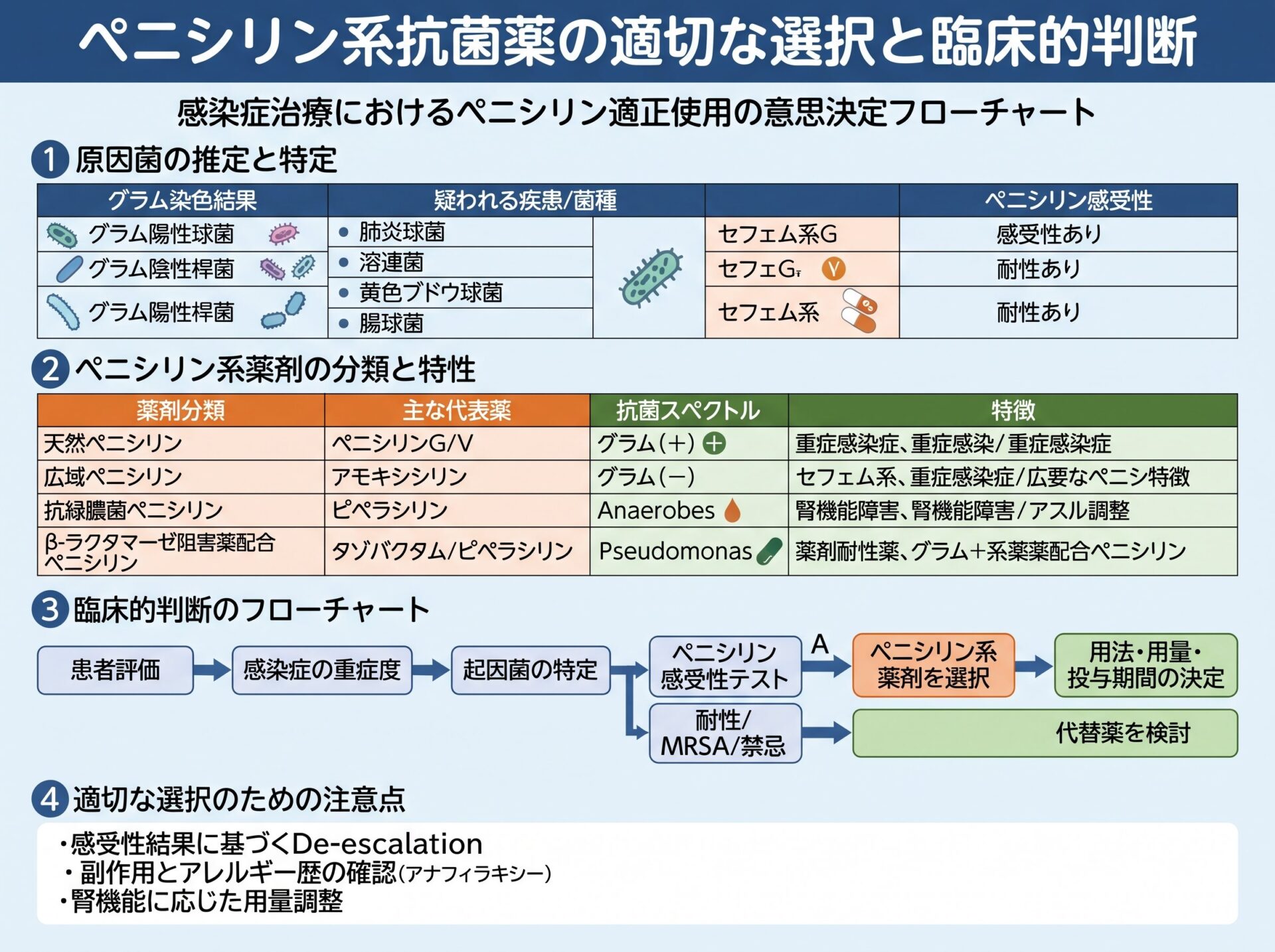 ペニシリン系抗菌薬の適切な選択と臨床的判断