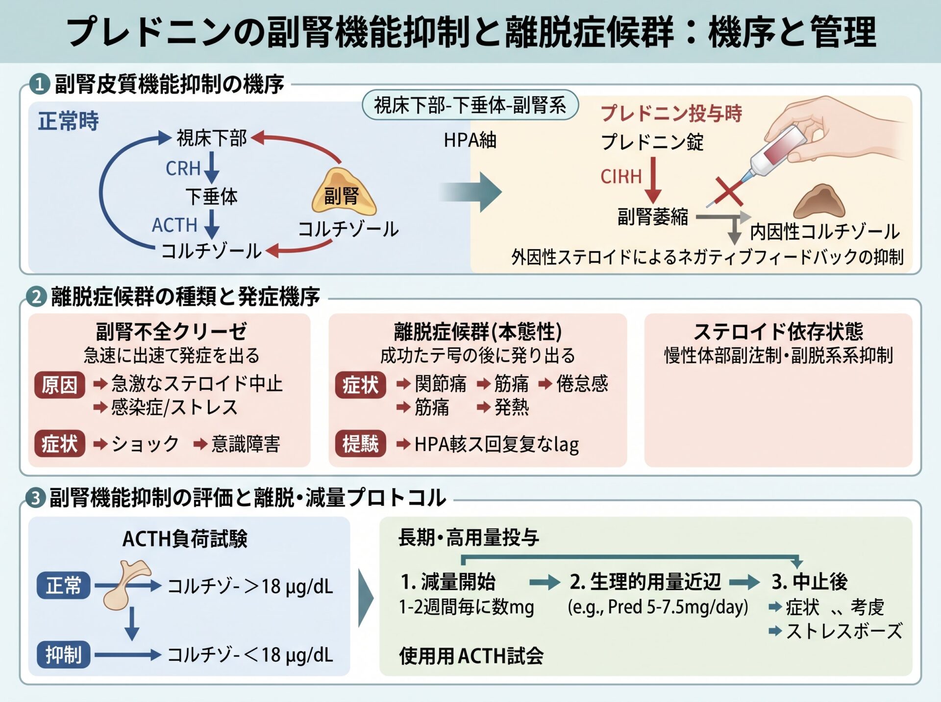 プレドニンの副腎機能抑制と離脱症候群