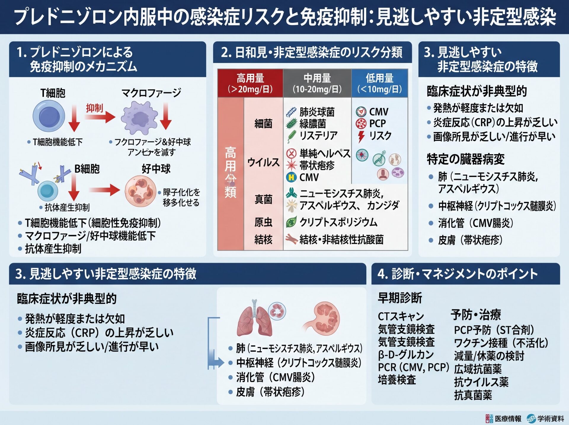 プレドニゾロン内服中の感染症リスクと免疫抑制：見逃しやすい非定型感染