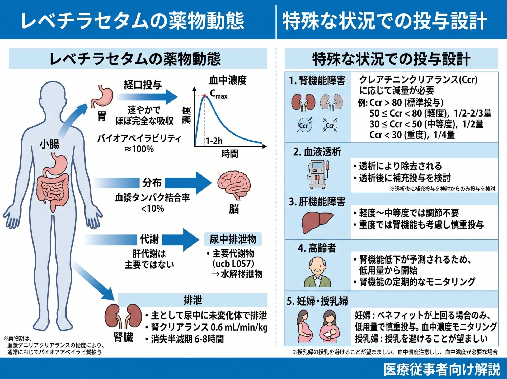 レベチラセタムの薬物動態と特殊な状況での投与