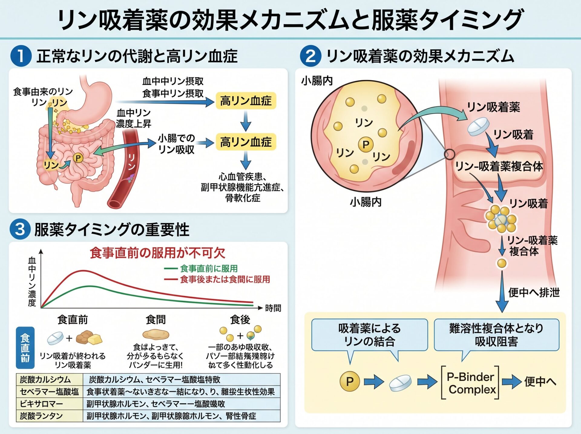 リン吸着薬の効果メカニズムと服薬タイミング