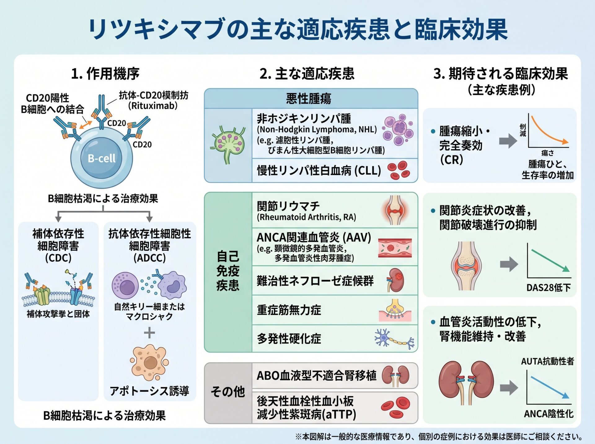 リツキシマブが適応となる主な疾患と臨床効果