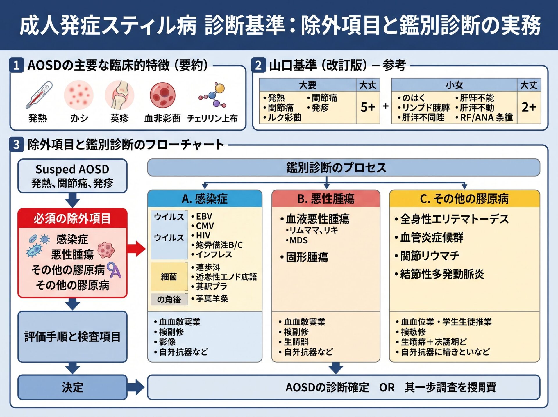 成人発症スティル病 診断基準:除外項目と鑑別診断の実務