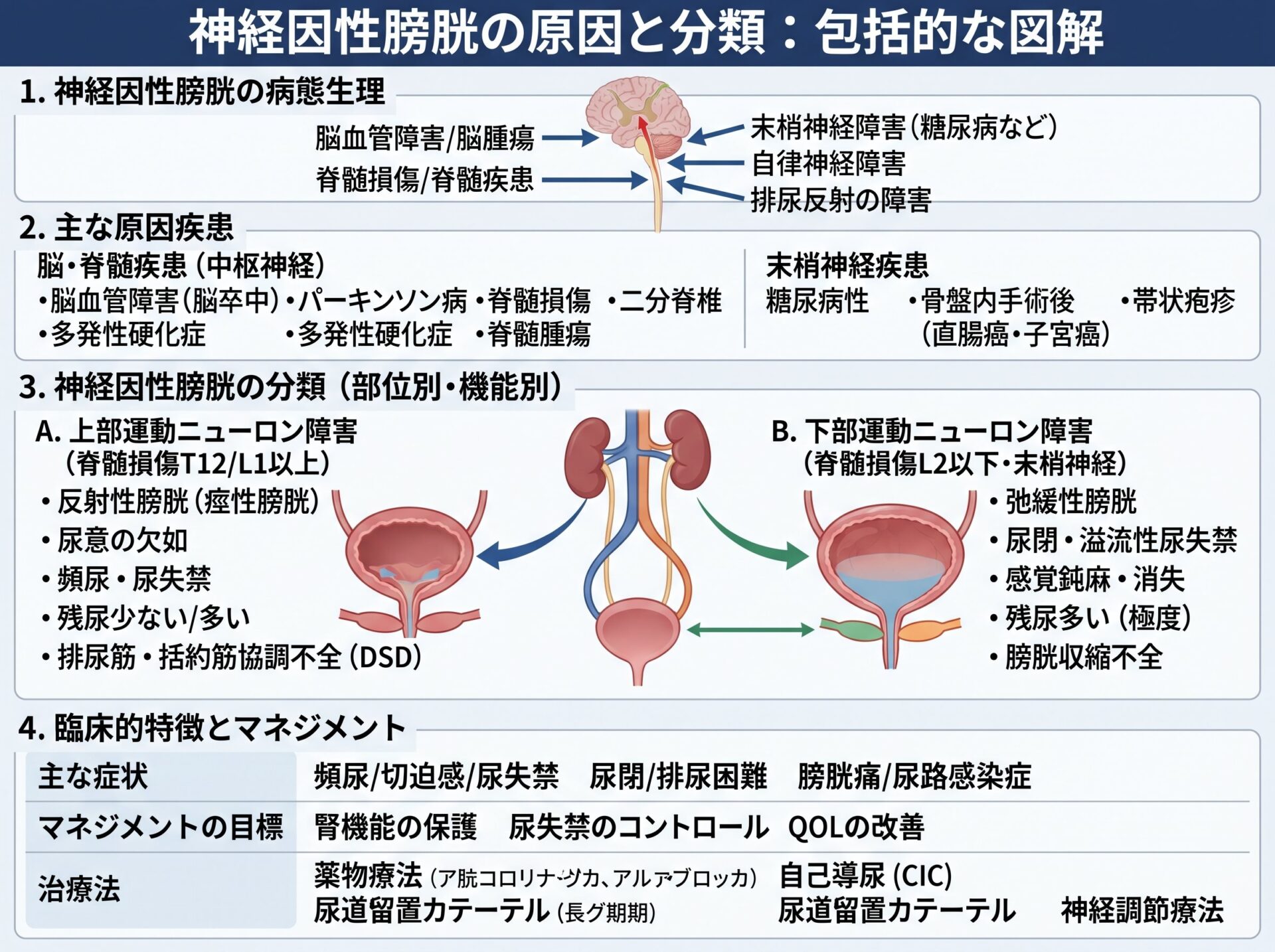 神経因性膀胱の原因と分類