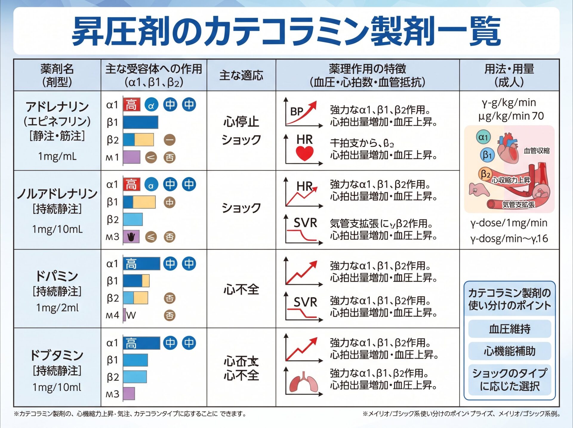 昇圧剤のカテコラミン製剤一覧